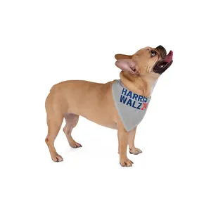 Grey Campaign Pet Bandana