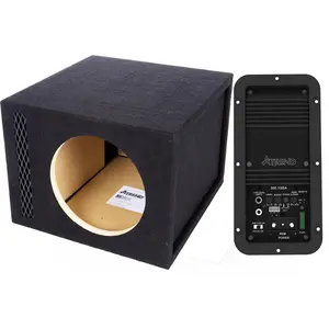 10V-300.1-10 in Single Vented w/300.1SBA Amp