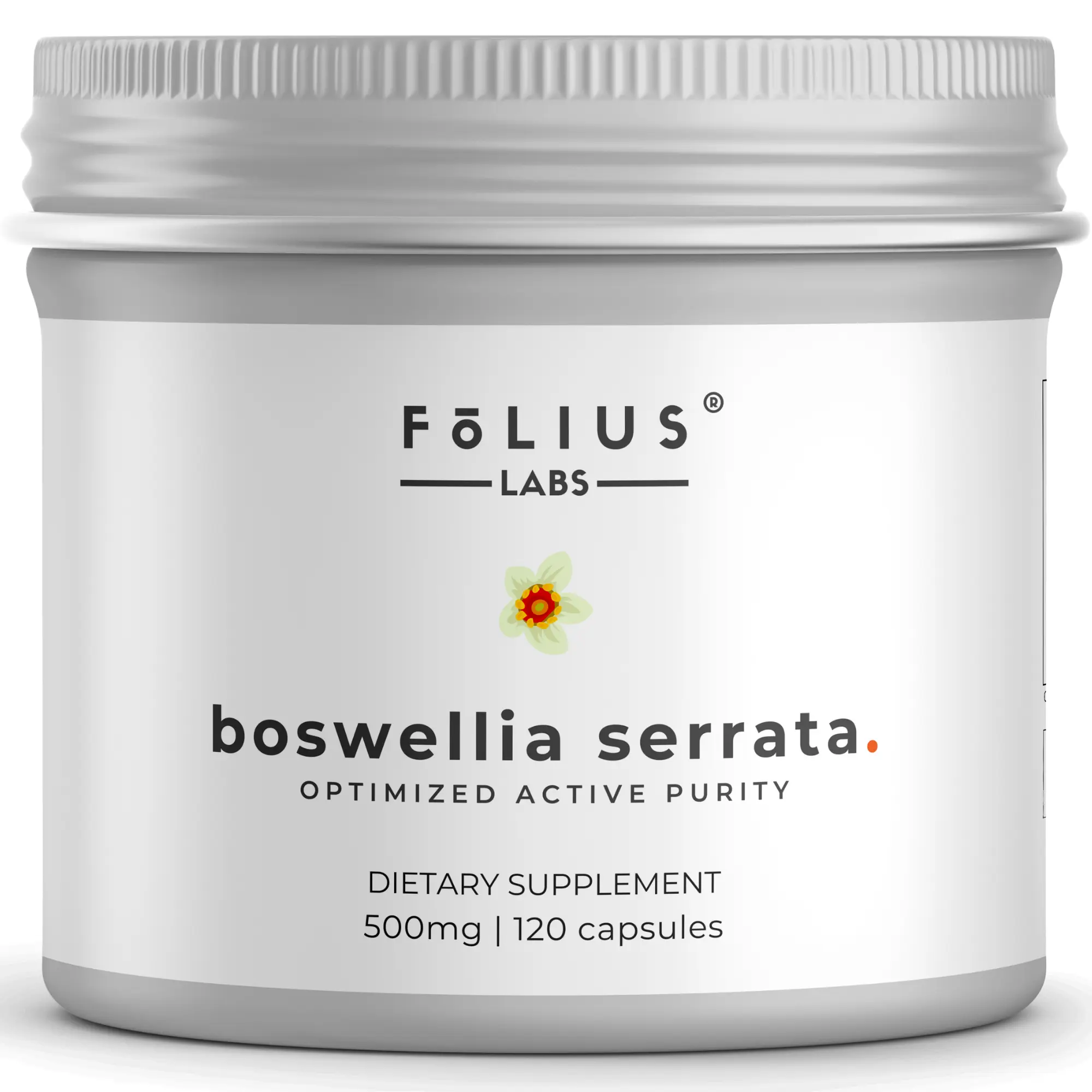 FOLIUS LABS Boswellia Serrata Extract Supplement 500mg - Healthy Joint Support, Muscle Relief Support - 65% Boswellic Acids - Extracted from Indian Olibanum/Frankincense