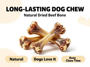 Natural Beef Bone Dog Chew for Medium & Large Dogs, Long-Lasting Chew Treat for Strong Chewers
