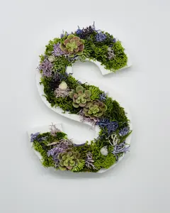 Moss Art Letters, Wood Letters, Succulent Art, Nursery Monogram, Moss Wall Art, Succulent Wall Art, CottageCore Wall Art, FairyCore Decor, Hanging Custom Wood Letters, Preserved Moss Letter Art, Rustic Home Decor, Garden Home Decor, Wooden, Housewarming
