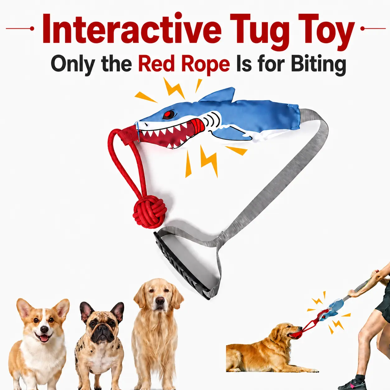 Kawiwi Interactive Dog Tug Toy, (Interactive Only • Not a Chew Toy • No Unattended Play)Tug of War Tough Squeaky Dog Rope Toys Teeth Cleaning, Conserve Dog's Energy and Strengthen Bond with Master for Outdoor & Indoor Playtime for Small & Medium Dogs
