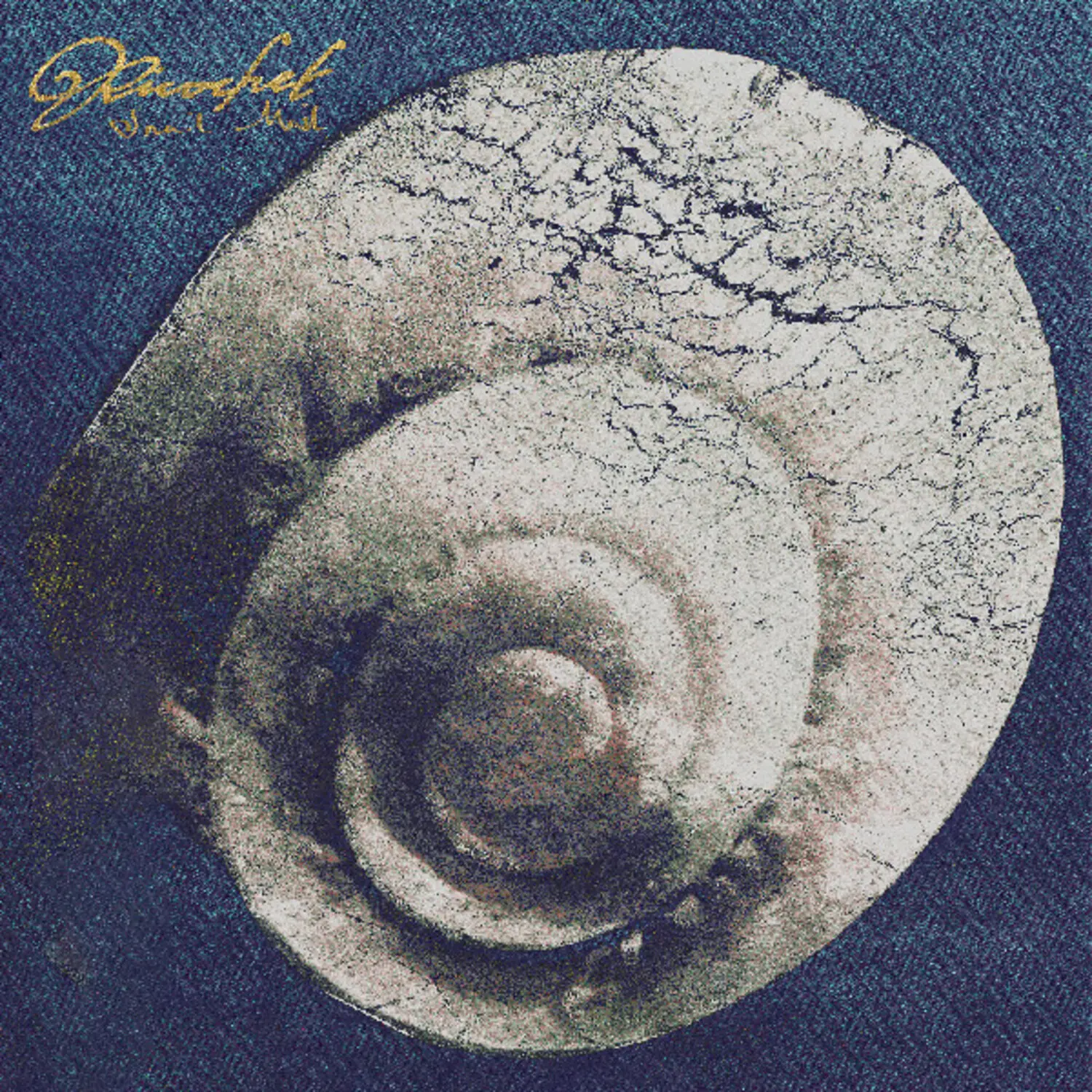 Snail Mail - Ricochet New Album CD (Matador Records) with New Album Tracks: Tractor Beam, My Maker, Light on Our Ft, Cruise, Agony Freak, Dead End, Butterfly, Nowhere, Hell, Ricochet, Reverie - English Generational Songwriter Band