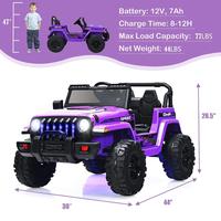 Style 3 - Purple- With LED lights