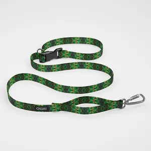 Jammin Hugo Everyday Leash™