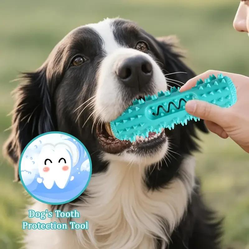 3-in-1 Set Dental Chew Stick Cooling Toothbrush Toy Freezable Ice Chew Toy For Gum Massage Small Medium Breeds Outdoor Bungee 1-Pack