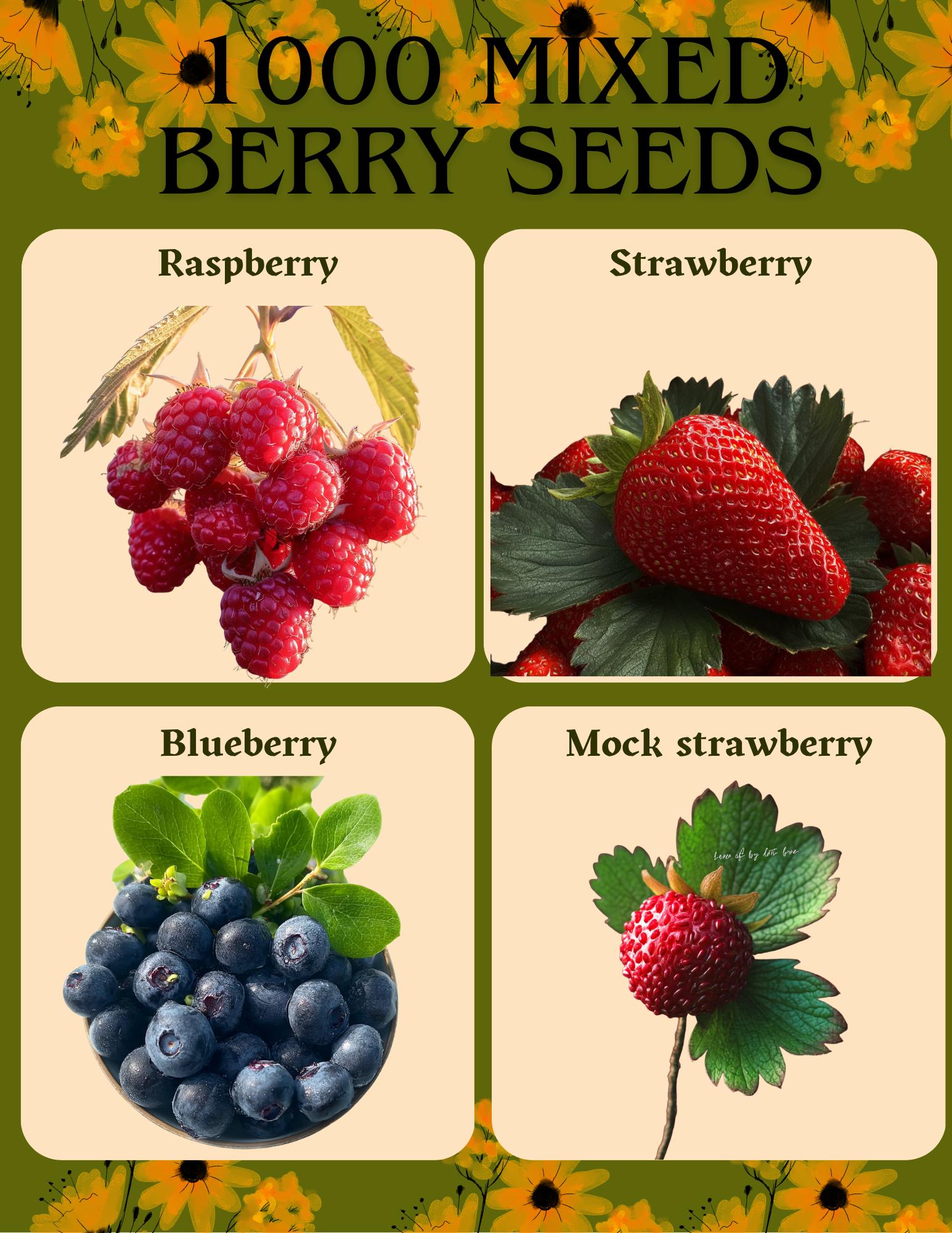 Grow Your Own Berry Patch 4-in-1 Seed Mix Strawberry Blueberry Raspberry & More Easy Fun Backyard Fruit Garden Starter Kit All Seasons