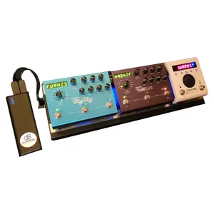 EARTHBOARD EBII-SR Single Rail Guitar Effects Pedalboard System