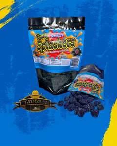 Tadeo's Fruit Splashers - Sour Blueberry Flavor Gummies Sweet and Sour Snack Candy