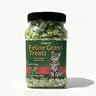 LVGCFT Cat Grass Treats Natural Salmon FlavorHealthy Cat Snacks Training Biscuits Catnip for Cats Dentaland Hairball Control Treats Remedy Chews