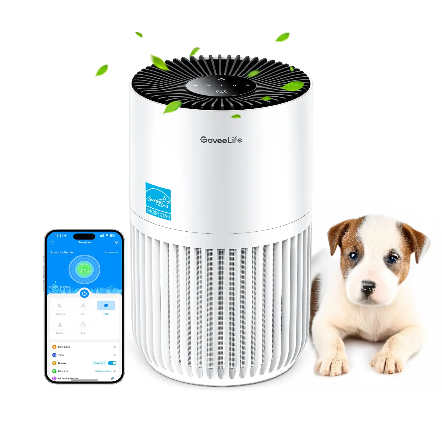 GoveeLife Smart Air Purifier Lite #TikTokShopBacktoSchool