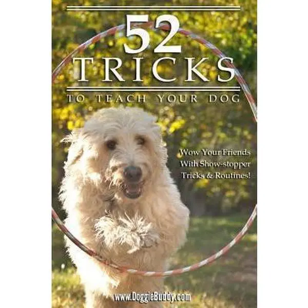 USED-52 Tricks To Teach Your Dog by Doggiebuddy (Paperback)
