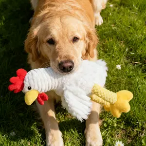 Striped Wing Rooster Dog Squeaky Toy, Bite-Resistant Teething & Boredom Relief Toy for Large/Medium Dogs (Golden Retriever, Corgi)