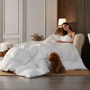 Luxury Bedding Set - Down Alternative Comforter for All Season, Lightweight & Warm Bedding, Machine Washable, Puffed Quilt Duvet, Peach-skin Fabric, Box-Stitch Quilting, No Pillows Included