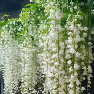 30 Pcs Jasmine Seeds – Richly Scented Non-GMO Climbing Jasmine for Beautiful Vertical Gardens | Perfect for Balconies, Fences, and Walls | Easy to Grow, Long-Lasting Sweet Fragrance, Ideal for Outdoor Garden Spaces and Lush Greenery
