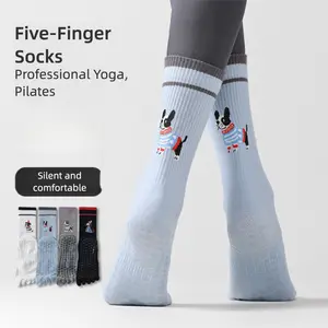 4 pairs Women'S Pilates Exercise Toe Socks, Professional Anti Slip, Yoga Socks, Dog Series Pattern, Cute Choices