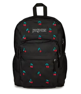 JanSport Unisex Big Plans