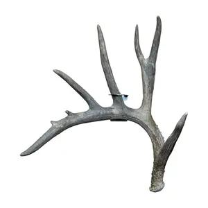 Shed Antler Hanger Single - Slob Knocker Size (Right Antler)