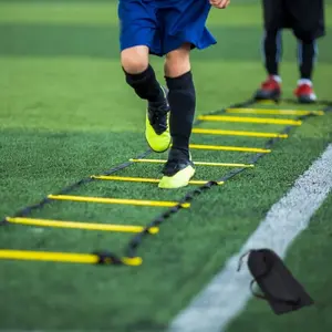 Agility Ladder Speed Training Ladder, Portable Football Agility Ladder, Detachable PP Material, Jump Grid Rope Ladder, Sports Equipment