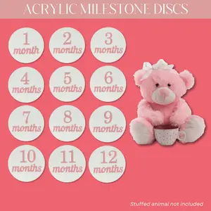 Acrylic Baby Milestone Discs - Pastel Pink