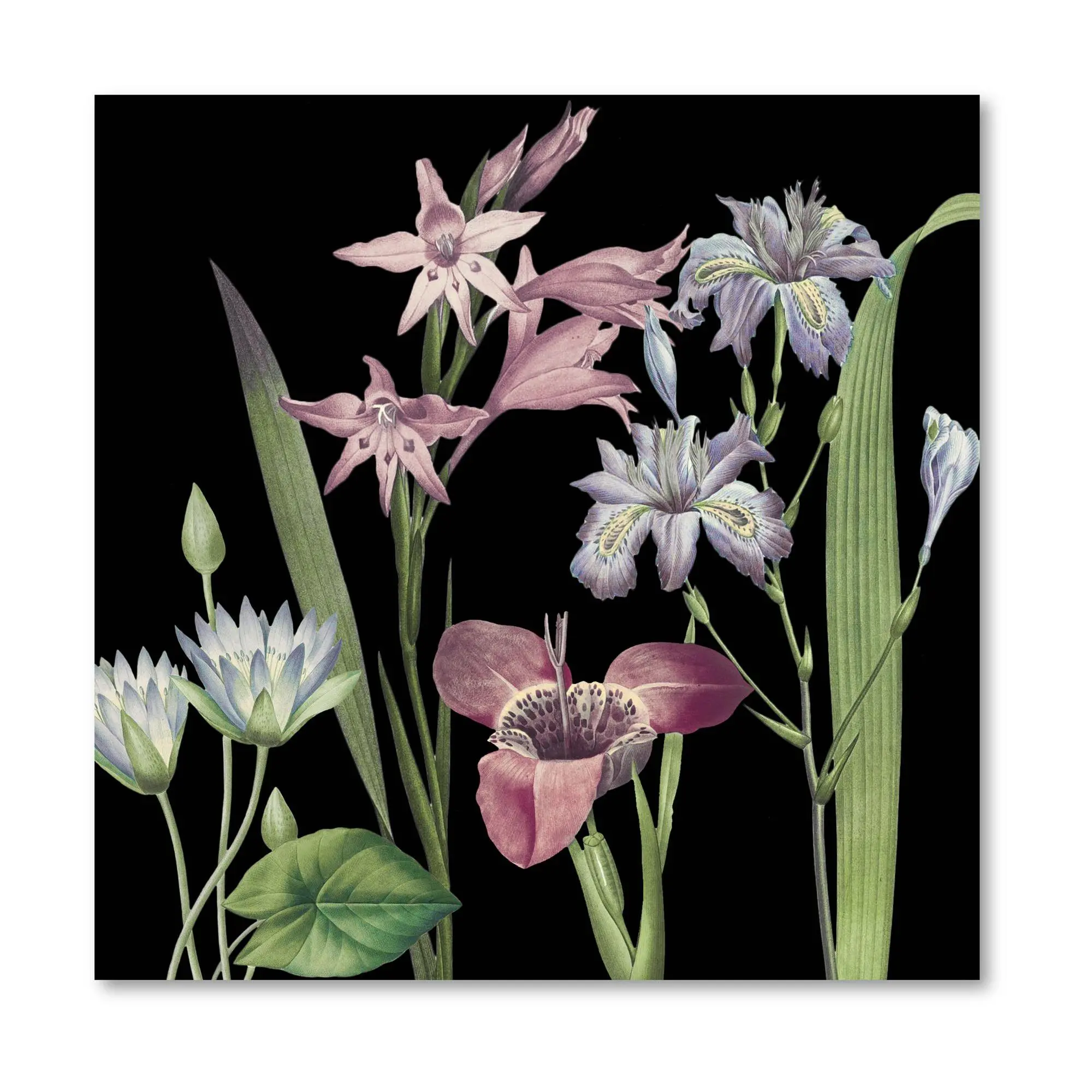 Courtside Market Dusty Plum Botanical II 16x16Canvas Wall Art Courtside Market Dusty Plum Botanical II 16x16Canvas Wall Art