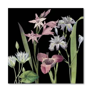 Courtside Market Dusty Plum Botanical II 16x16Canvas Wall Art