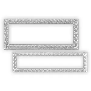 Silver Frame