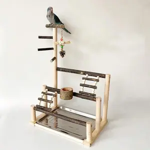 Bird Stands Parrots, Interactive Playground, Perch Stand, Playstand Gym, Parakeet Cage Accessories, Bird Gym, Activity Stand