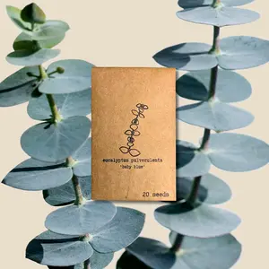 Eucalyptus Pulverulenta 'Baby Blue' Seeds