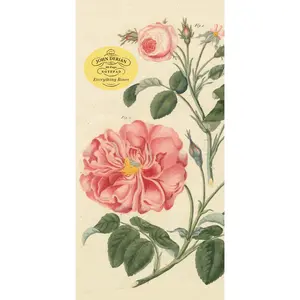 John Derian Paper Goods: Everything Roses Notepad by John Derian [Paperback Book]