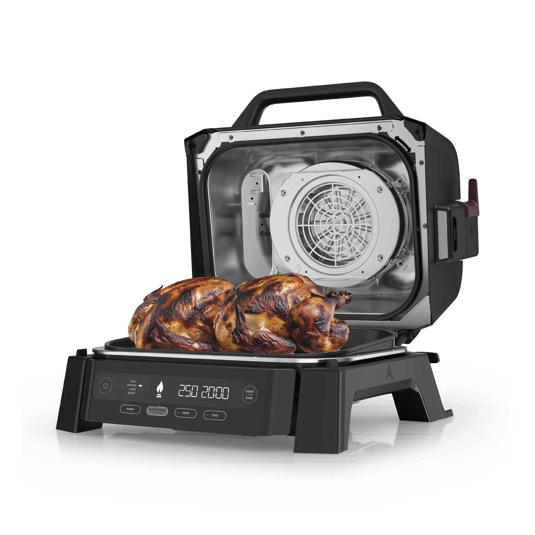 Ninja Woodfire Outdoor Grill & Smoker - OG301 - TikTok Shop
