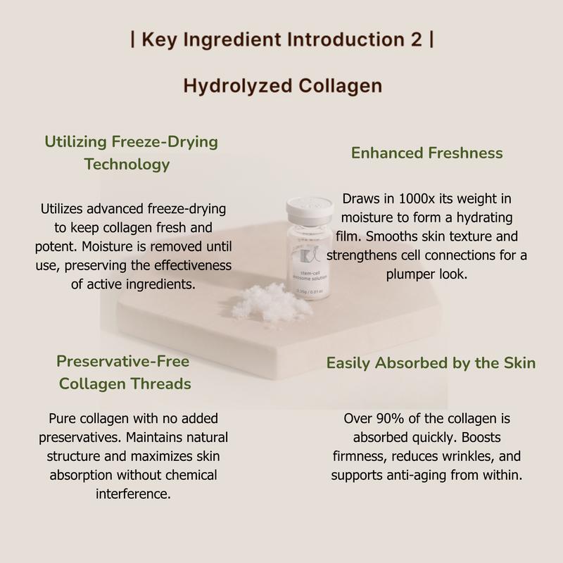 KI Stem-Cell Exosome Booster Kit – Anti-Aging & Brightening Ampoule Set