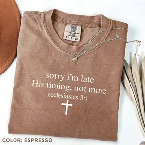 Sorry I’m Late His Timing Not Mine T-Shirt, Ecclesiastes 31 Comfort Colors Tee, Christian Bible Verse Faith Shirt, Minimalist Christian Shir