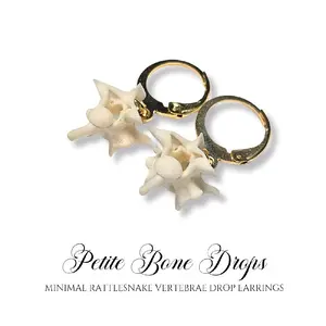 Single Rattlesnake Vertebrae Dangle Earrings