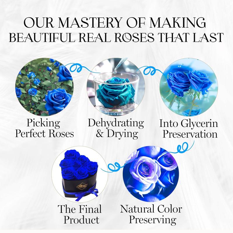 Immortal Love Black Heart | 7 Blue Roses Box Decor