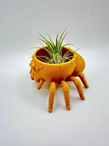 Jumping Spider Planter