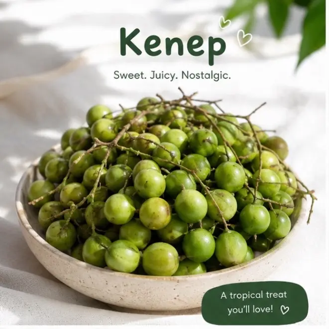 Premium Caribbean Kenep (Spanish Lime) - Fresh Tropical Fruit
