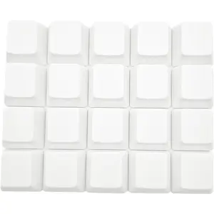 OEM Profile White Blank Keycaps PBT Material 1U R4 Keycap for MX switches Mechanical Keyboard (White, 20 count)