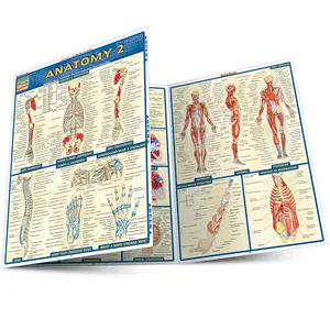 QuickStudy | Anatomy 2 Laminated Study Guide