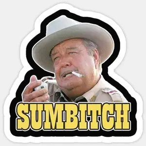 Funny "Sumbitch" Smokey and the Bandit Buford T. Justice Quote Vinyl Car Decal - 2BQ Office Label, Bumper Sticker for Vehicle Exterior Decoration