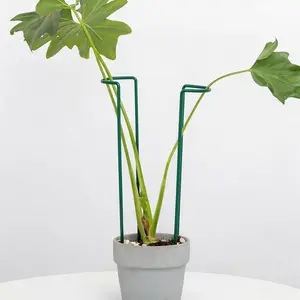 Indoor  Trellis Set of 10 - Durable Iron  Supports for Monstera and Climbing ,  for Indoor & Outdoor Use, U-Shape Design for Garden Decor and Ideal  for  Lovers