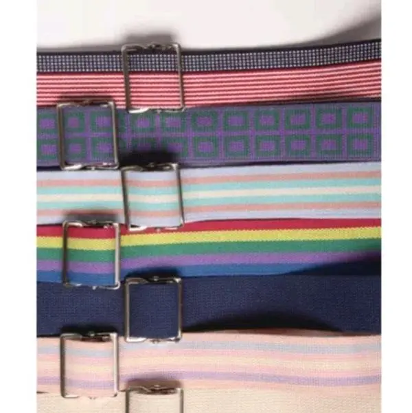 Gait Belt