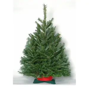 Noble 3-4 ft Tall Fresh Fir Christmas Tree, Decorative Fresh-Cut Tabletop Tree with Stand, Natural Look Home Festive Decoration