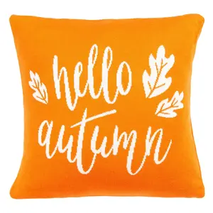 Safavieh Hello Autumn Pillow