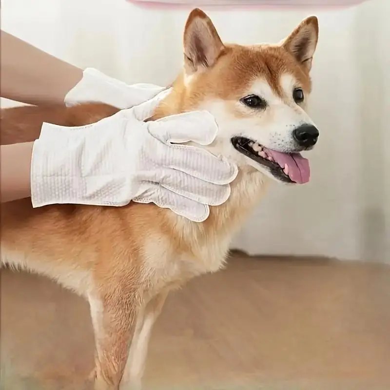 Pet Glove Wipes for Dogs & Cats,Hypoallergenic Pet Wipes Disposable No-Rinse Grooming Cleaning Paw