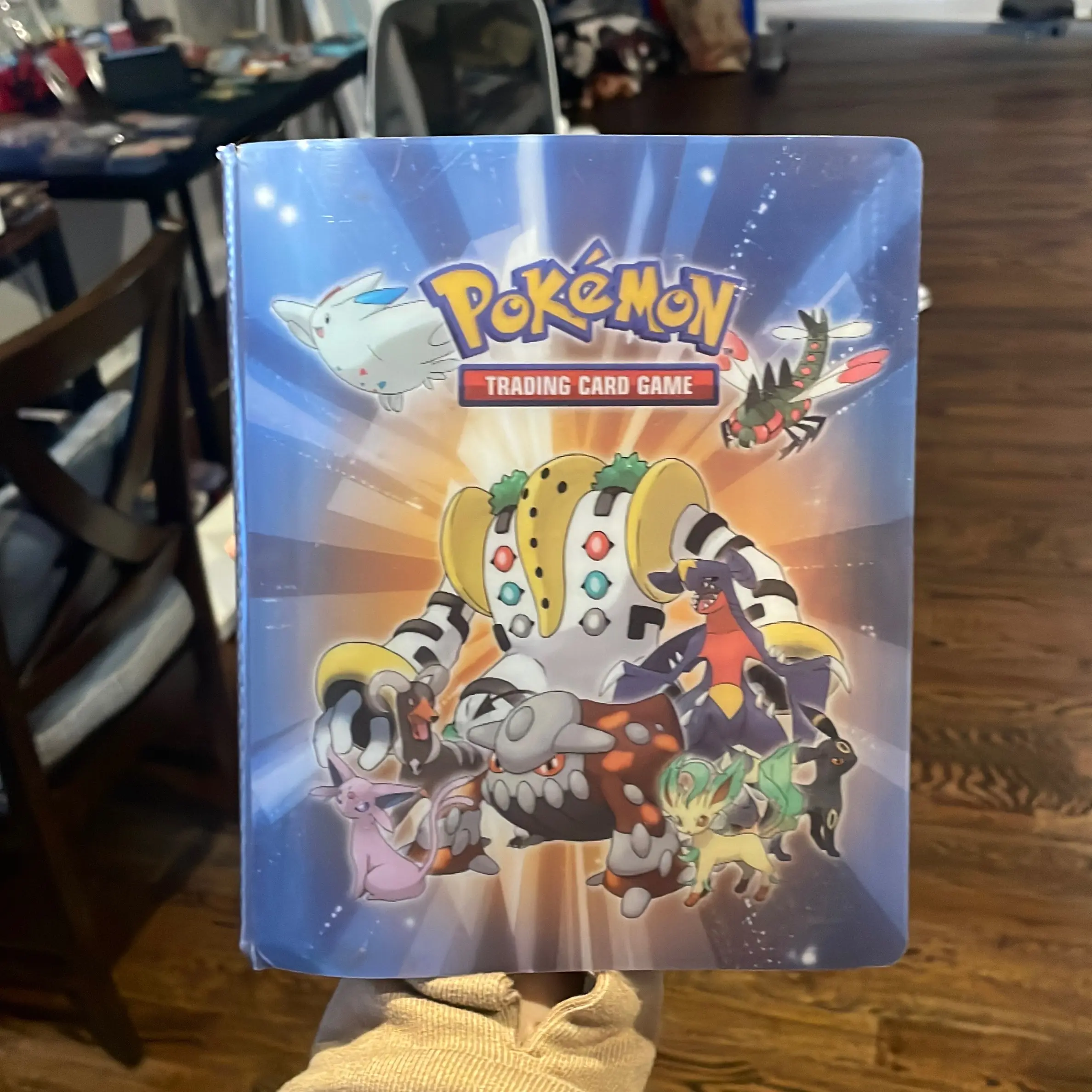 Pokémon holo binder