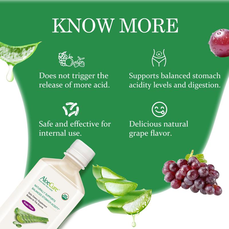 AloeCure USDA Organic Aloe Vera Juice Grape Flavor, Made Within 12 Hours of Harvest - Pure Aloe Juice For Natural Digestive & Immune Support, Naturally Supports Balanced Stomach Acidity, 500ml Bottles