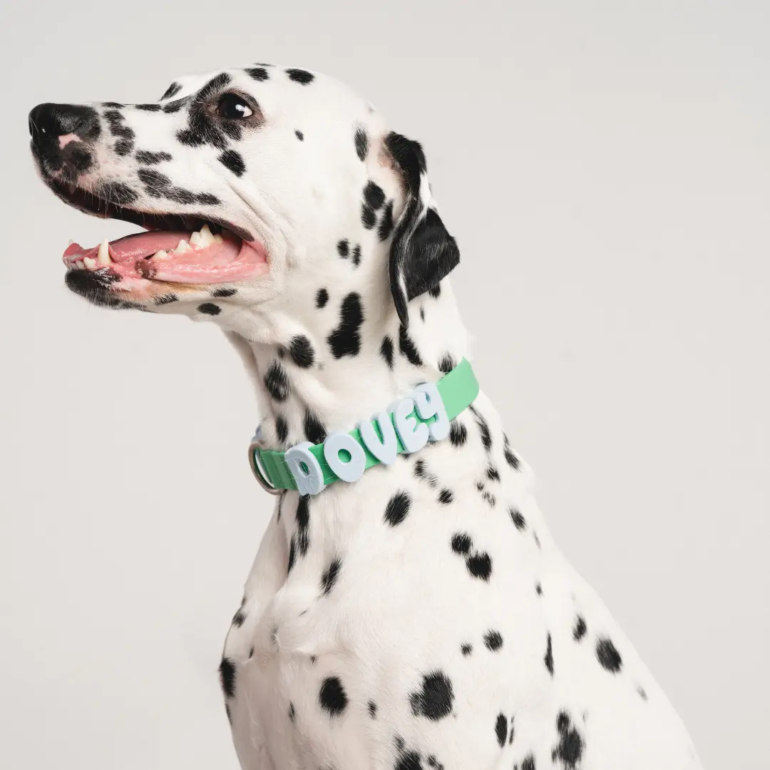 Silicone Dog Charms | Letters & Symbols for Personalized Dog Collars and Leashes - Sky Blue