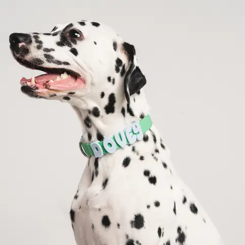 Silicone Dog Charms | Letters & Symbols for Personalized Dog Collars and Leashes - Sky Blue