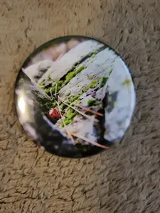 This is a ladybug button, very cute and makes a statement